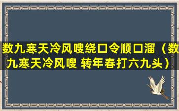 数九寒天冷风嗖绕口令顺口溜（数九寒天冷风嗖 转年春打六九头）